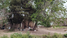 11 m2 Torpaq, Satış, Bakı, Sabunçu