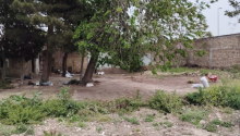 11 m2 Torpaq, Satış, Bakı, Sabunçu