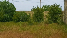 8 m2 Torpaq, Satış, Bakı, Xəzər, Koroğlu