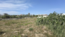 15 sot Torpaq, Satış, Bakı, Xəzər