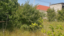 8 sot Torpaq, Satış, Bakı, Xəzər, Koroğlu