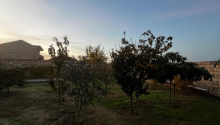5 otaqlı Bağ evləri, Satış, Abşeron