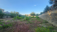 15 sot Torpaq, Satış, Abşeron