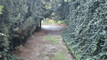 6 otaqlı Bağ evləri, Satış, Abşeron