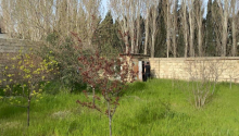 6 otaqlı Bağ evləri, Satış, Abşeron