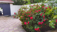 6 otaqlı Villa / Həyət evi, Satış, Bakı, Xətai, Əhmədli