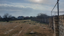 16 sot Torpaq, Satış, Bakı, Xəzər