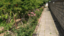7 otaqlı Bağ evləri, Satış, Abşeron