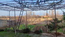 8 otaqlı Bağ evləri, Satış, Abşeron