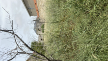7 sot Torpaq, Satış, Bakı