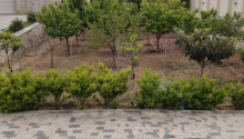 7 otaqlı Bağ evləri, Satış, Abşeron