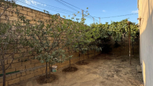 6 otaqlı Villa / Həyət evi, Satış, Abşeron
