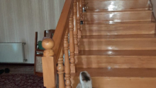 5 otaqlı Villa / Həyət evi, Satış, Bakı, Binəqədi