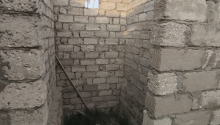 3 otaqlı Villa / Həyət evi