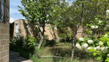 5 otaqlı Bağ evləri, Satış, Şamaxı