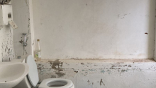 6 otaqlı Villa / Həyət evi, Satış, Abşeron