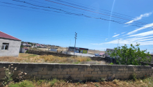 4 sot Torpaq, Satış, Abşeron