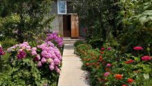 3 otaqlı Bağ evləri, Kirayə (gündəlik), Qəbələ