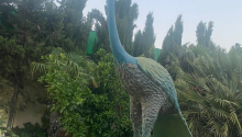 5 otaqlı Bağ evləri, Satış, Abşeron