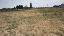1 hektar Torpaq, Satış, Bakı, Sabunçu, Koroğlu