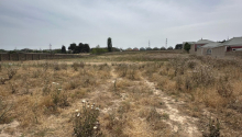 1 hektar Torpaq, Satış, Bakı, Sabunçu, Koroğlu