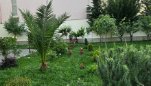 6 otaqlı Bağ evləri, Kirayə (aylıq), Abşeron