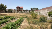 12 sot Torpaq, Satış, Bakı, Xəzər, Koroğlu