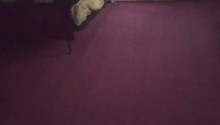 3 otaqlı Villa / Həyət evi, Satış, Qobustan