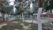 6 otaqlı Bağ evləri, Satış, Bakı, Xəzər