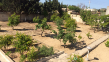 3 otaqlı Bağ evləri, Kirayə (aylıq), Bakı, Sabunçu