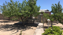 3 otaqlı Bağ evləri, Kirayə (aylıq), Bakı, Sabunçu