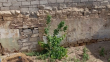 2 otaqlı Villa / Həyət evi, Satış, Bakı, Xəzər, Koroğlu