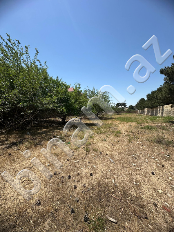 25 sot Torpaq, Satış, Bakı, Sabunçu, Koroğlu