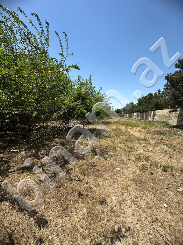 25 sot Torpaq, Satış, Bakı, Sabunçu, Koroğlu