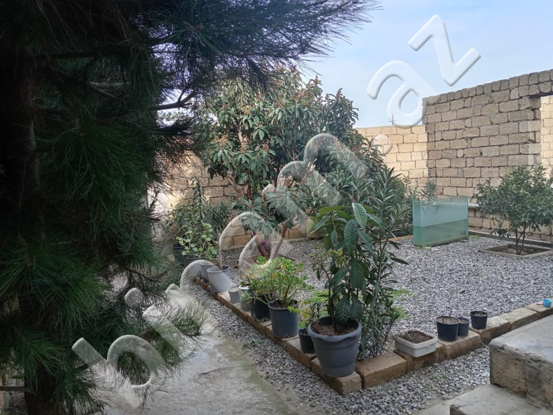 3 otaqlı Bağ evləri, Satış, Abşeron