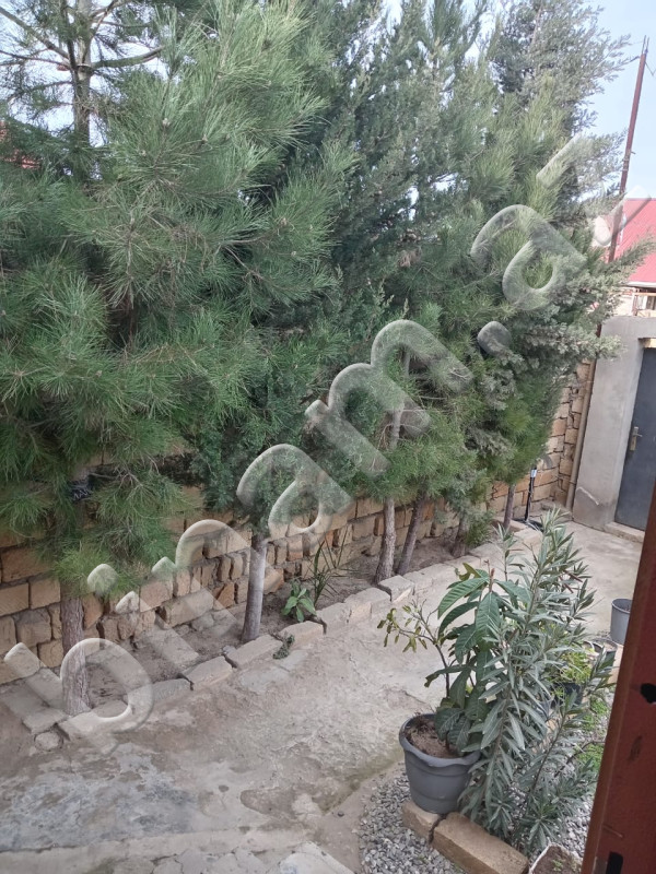 3 otaqlı Bağ evləri, Satış, Abşeron