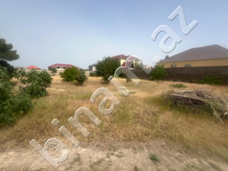 13 sot Torpaq, Satış, Bakı, Xəzər, Koroğlu