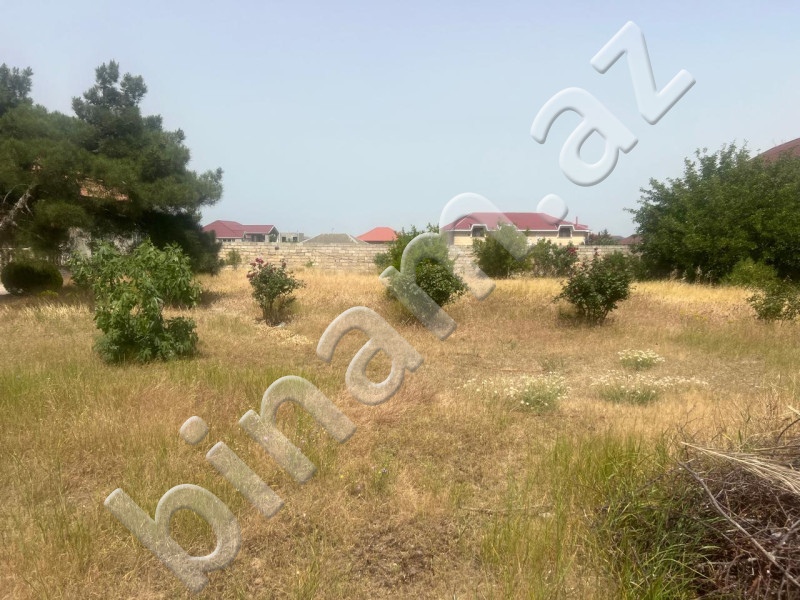 13 sot Torpaq, Satış, Bakı, Xəzər, Koroğlu