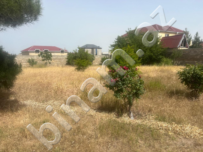 13 sot Torpaq, Satış, Bakı, Xəzər, Koroğlu