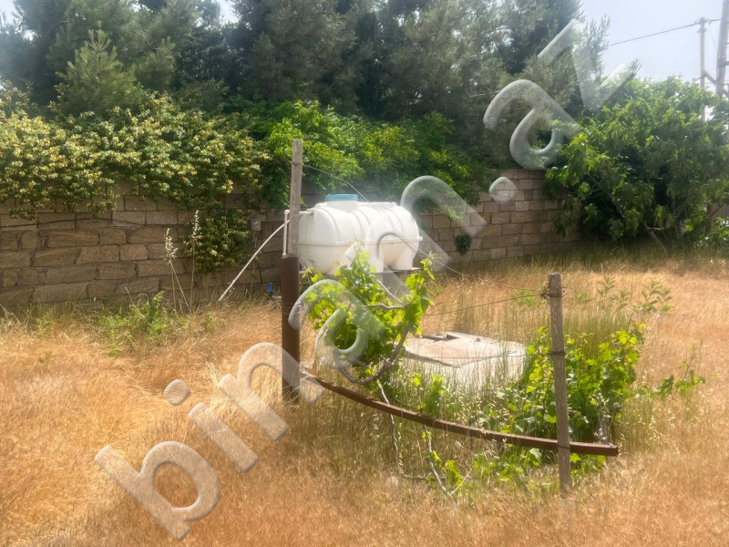13 sot Torpaq, Satış, Bakı, Xəzər, Koroğlu