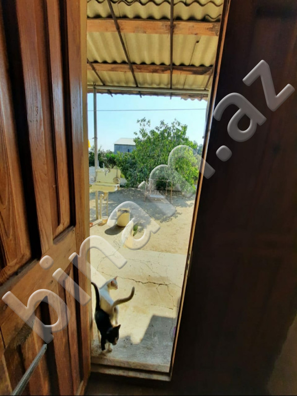 3 otaqlı Bağ evləri, Satış, Abşeron