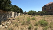 25 sot Torpaq, Satış, Bakı, Sabunçu, Koroğlu