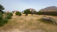 13 sot Torpaq, Satış, Bakı, Xəzər, Koroğlu