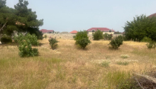 13 sot Torpaq, Satış, Bakı, Xəzər, Koroğlu