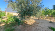 4 otaqlı Bağ evləri, Satış, Abşeron