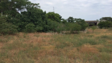 30 sot Torpaq, Satış, Bakı, Xəzər, Koroğlu