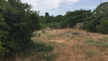30 sot Torpaq, Satış, Bakı, Xəzər, Koroğlu