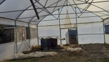 900 m2 Torpaq, Satış, Xaçmaz