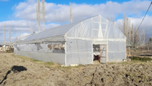 900 m2 Torpaq, Satış, Xaçmaz