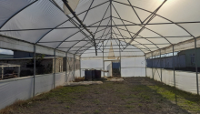900 m2 Torpaq, Satış, Xaçmaz